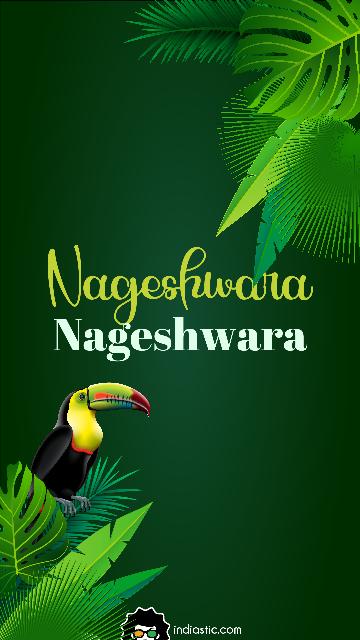 Jungle theme Nageshwara name wallpaper