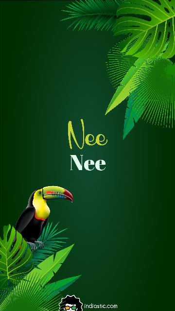 Jungle theme Nee name wallpaper Jungle theme Nee name wallpaper