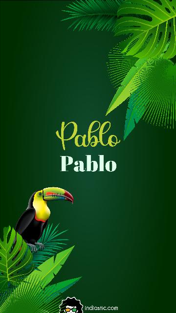 Jungle theme Pablo name wallpaper Jungle theme Pablo name wallpaper